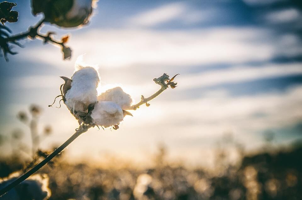 Alabama
